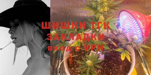 гидропоника Белокуриха