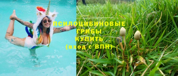 гидропоника Белокуриха