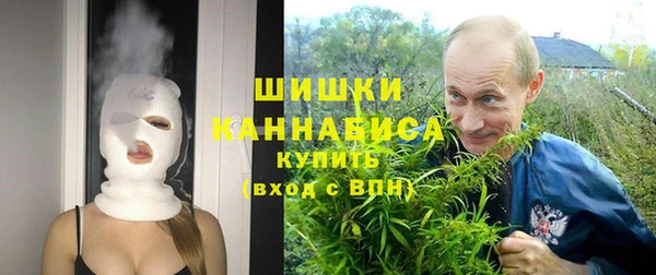 гидропоника Белокуриха