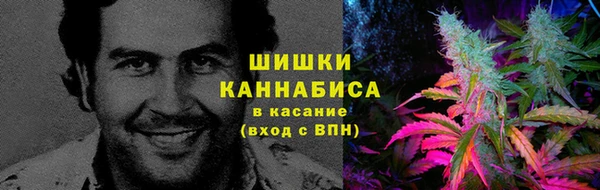 гидропоника Белокуриха