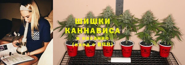 гидропоника Белокуриха