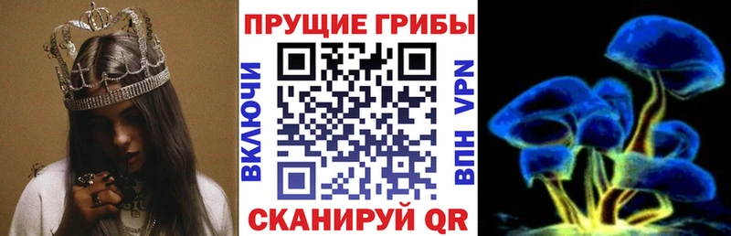Псилоцибиновые грибы MAGIC MUSHROOMS Электросталь